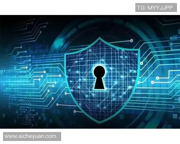 红桃国际为您提供安全可靠的服务，让每一次托付都无忧无虑