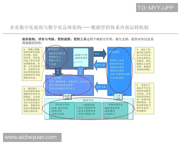 彩神Vll技术支持助力企业数字化转型提升效率与竞争力的全新方案解析