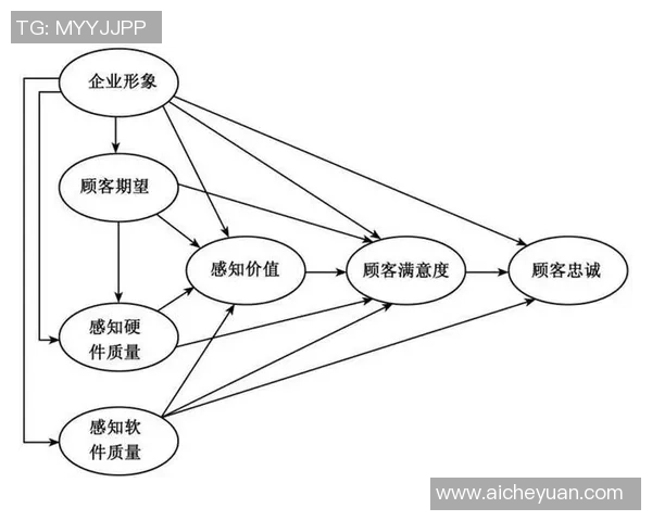 非凡娱乐用户满意度调查全面分析与提升策略探讨