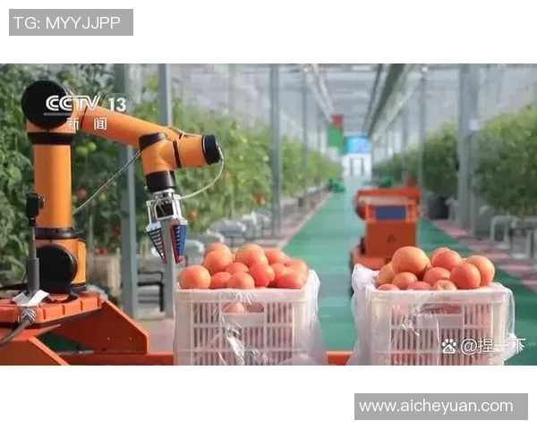 龙门国际数字供应链助力企业转型升级实现高效智能物流管理新模式