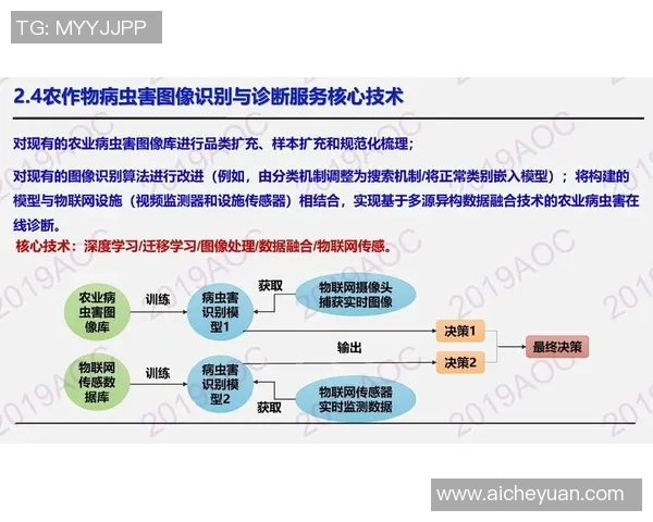 新宝GG光子计算研究的前沿进展与未来应用展望
